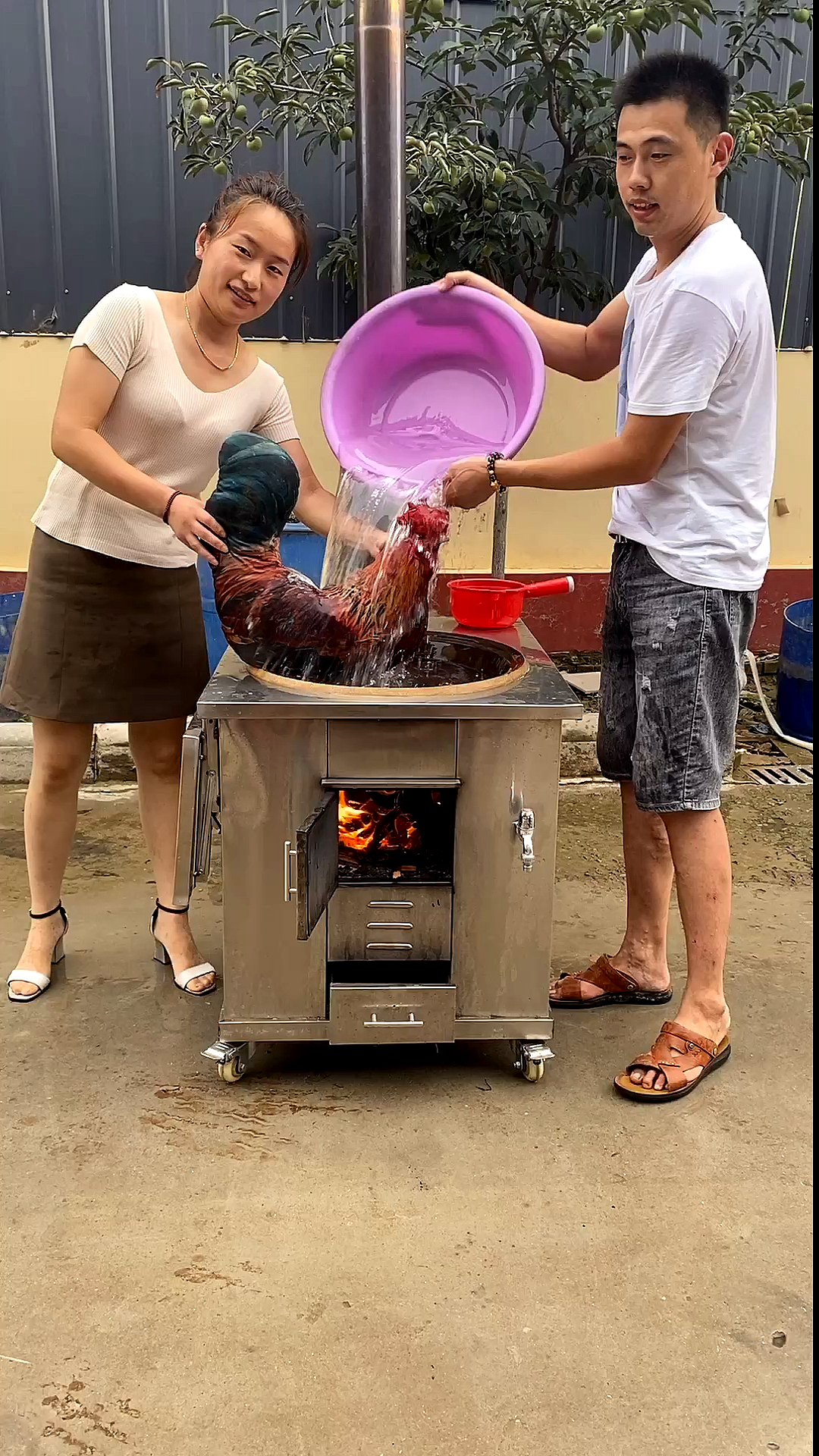 #你好秋天#在移动灶台里给公鸡洗洗澡，做铁锅炖