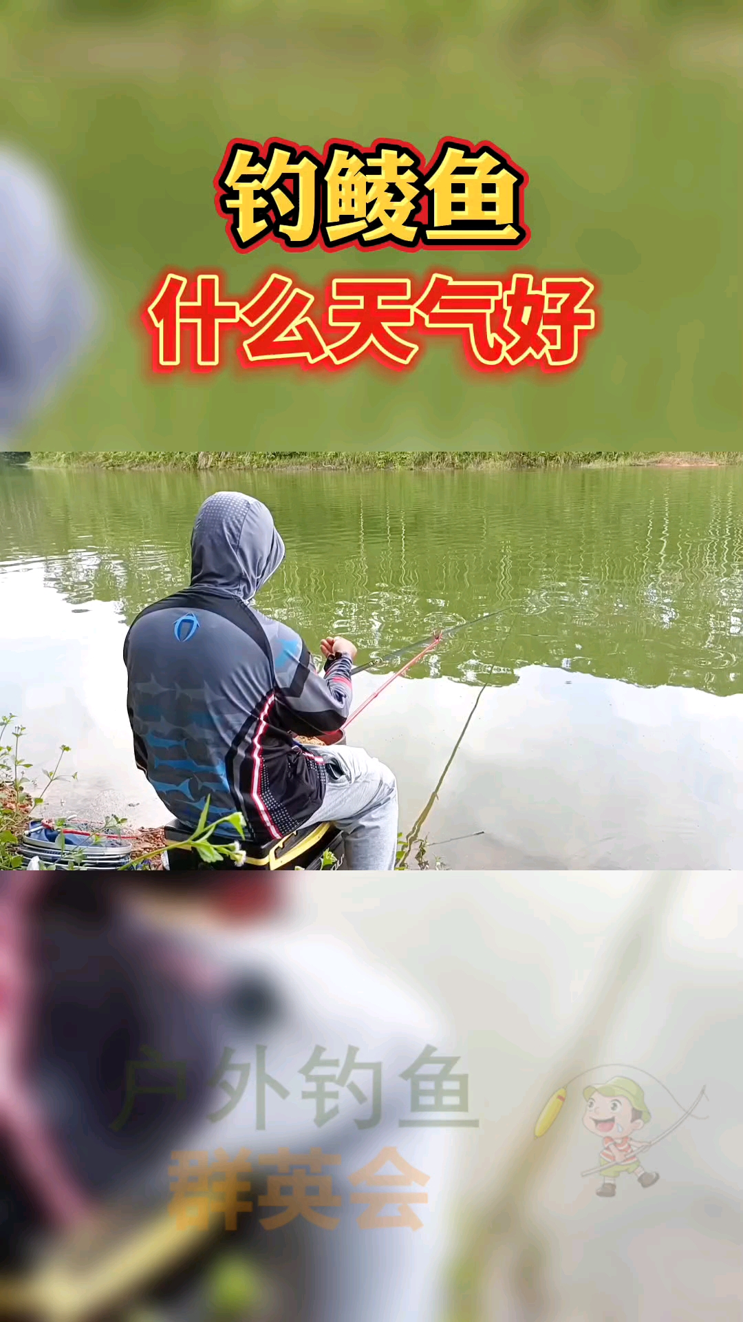 #钓鱼#钓鲮鱼什么天气好!钓鲮鱼方法和技巧