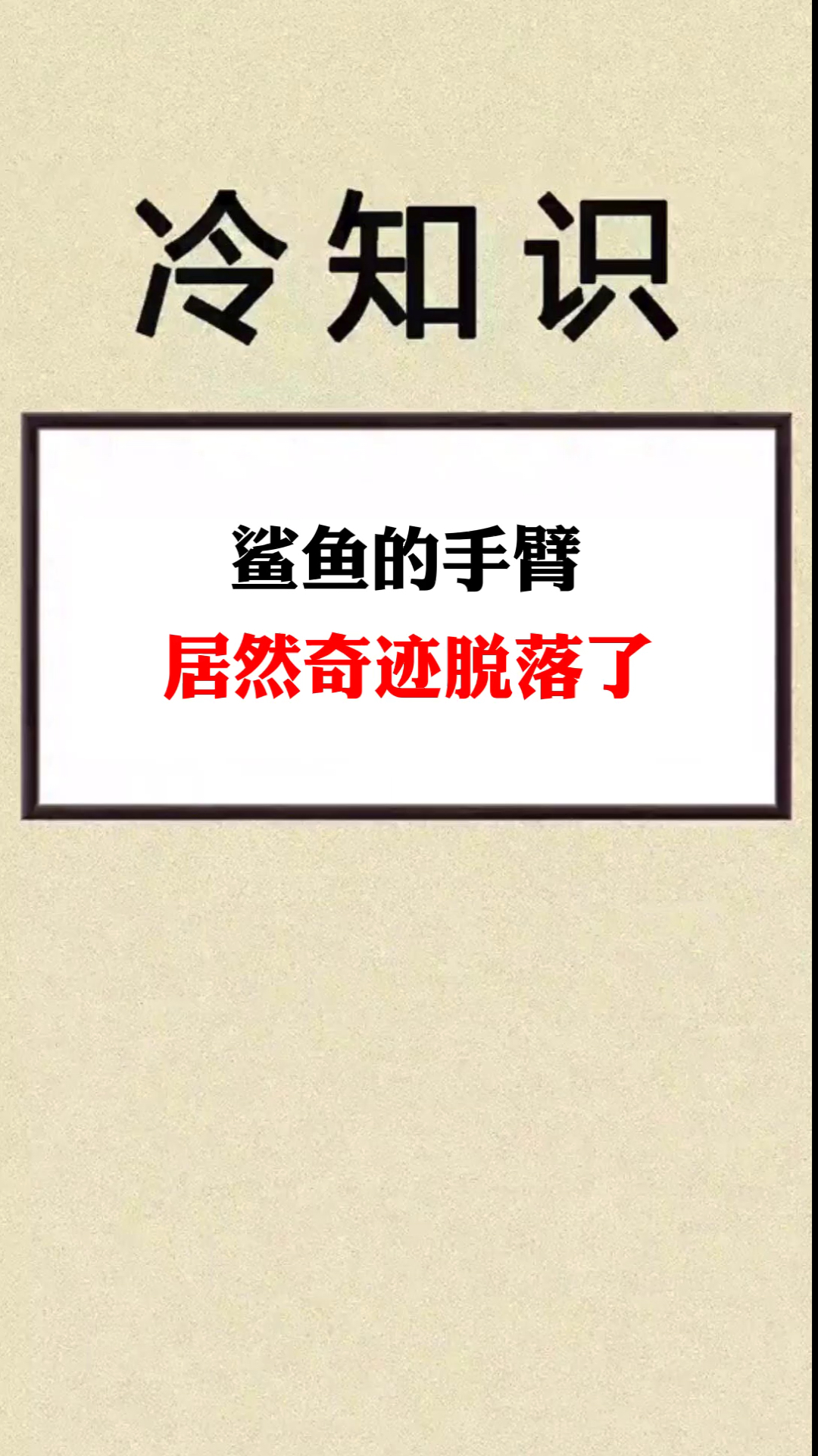 你见过鲨鱼的手臂吗