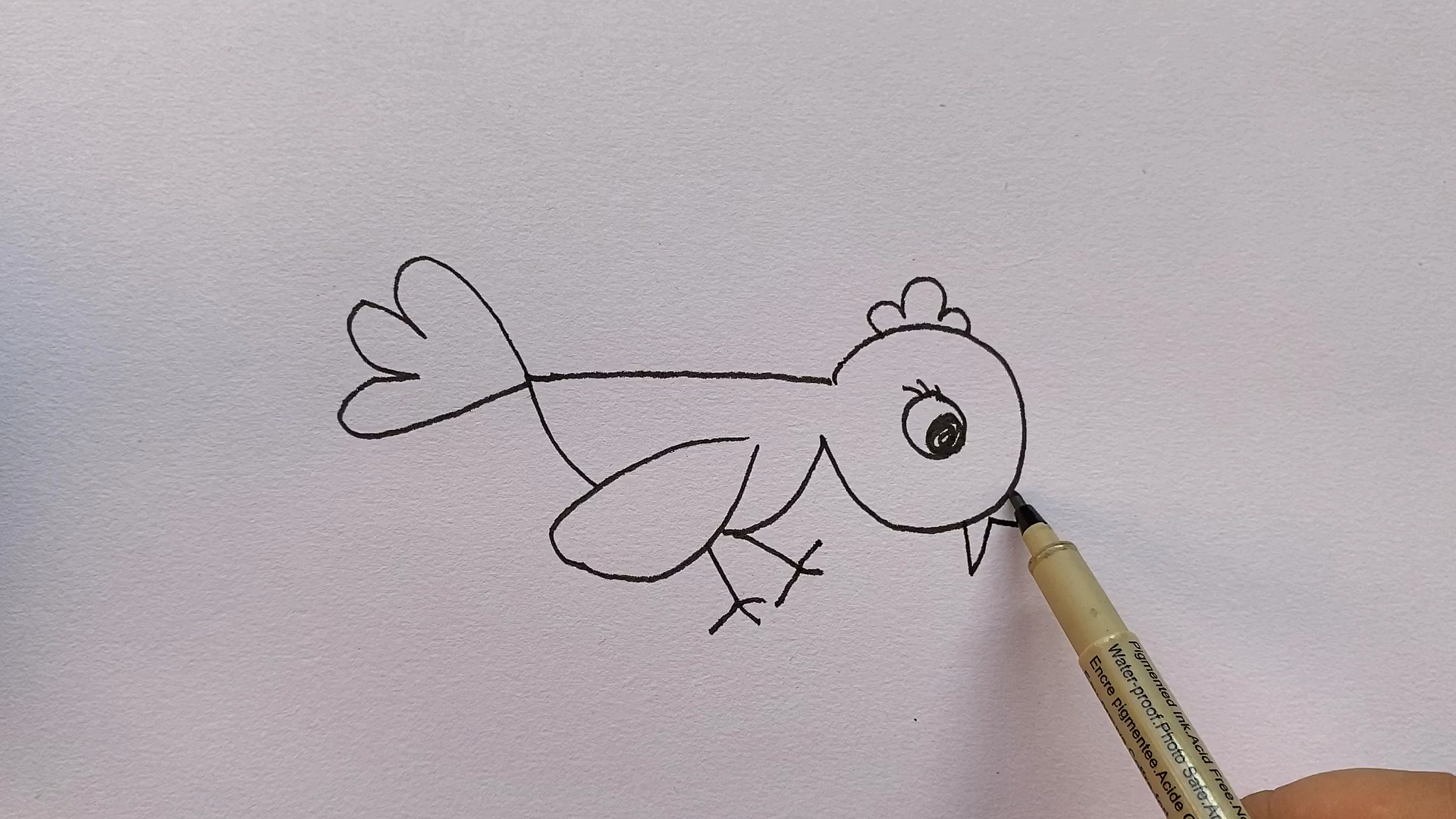 小鸡吃虫简笔画