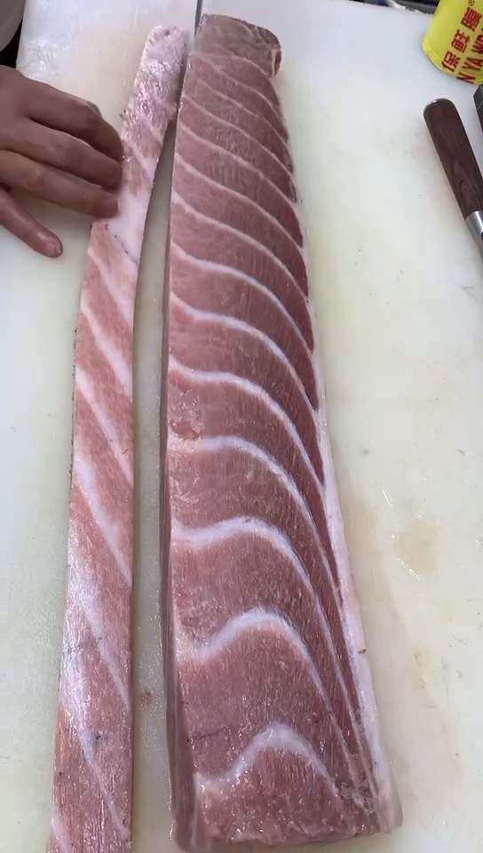 #金枪鱼#金枪鱼大腹分割,这个金枪鱼怎么样?