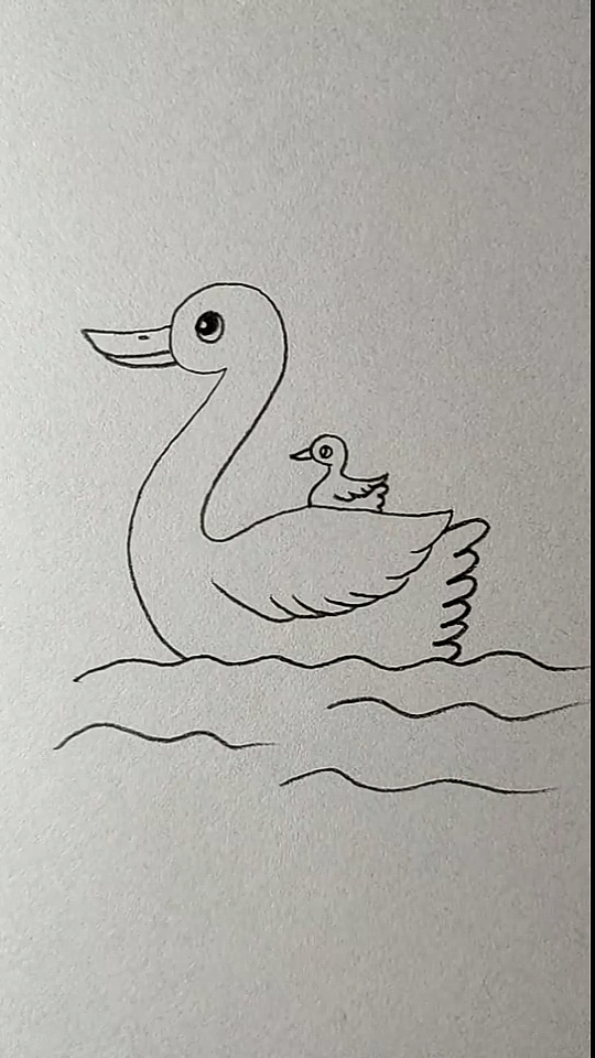 #简笔画#用2画鸭妈妈和鸭宝宝