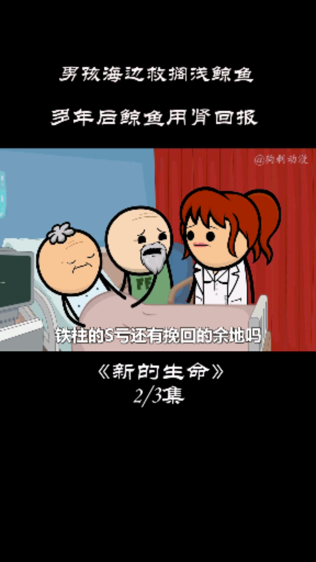 #动漫#男孩在海边救下一只鲸鱼,多年以后鲸鱼用这个东西拯救了男孩