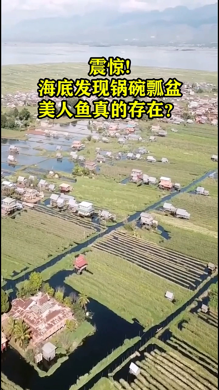 #奇闻趣事抢先看#震惊!海底发现锅碗瓢盆美人鱼真的存在?