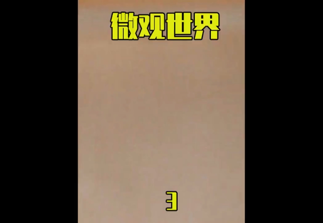 #旅游进行时##动物微世界小黄鸭的冒险之旅