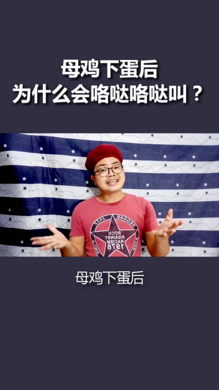 #每天一点冷知识#母鸡下蛋后,为何会咯哒咯哒叫呢?