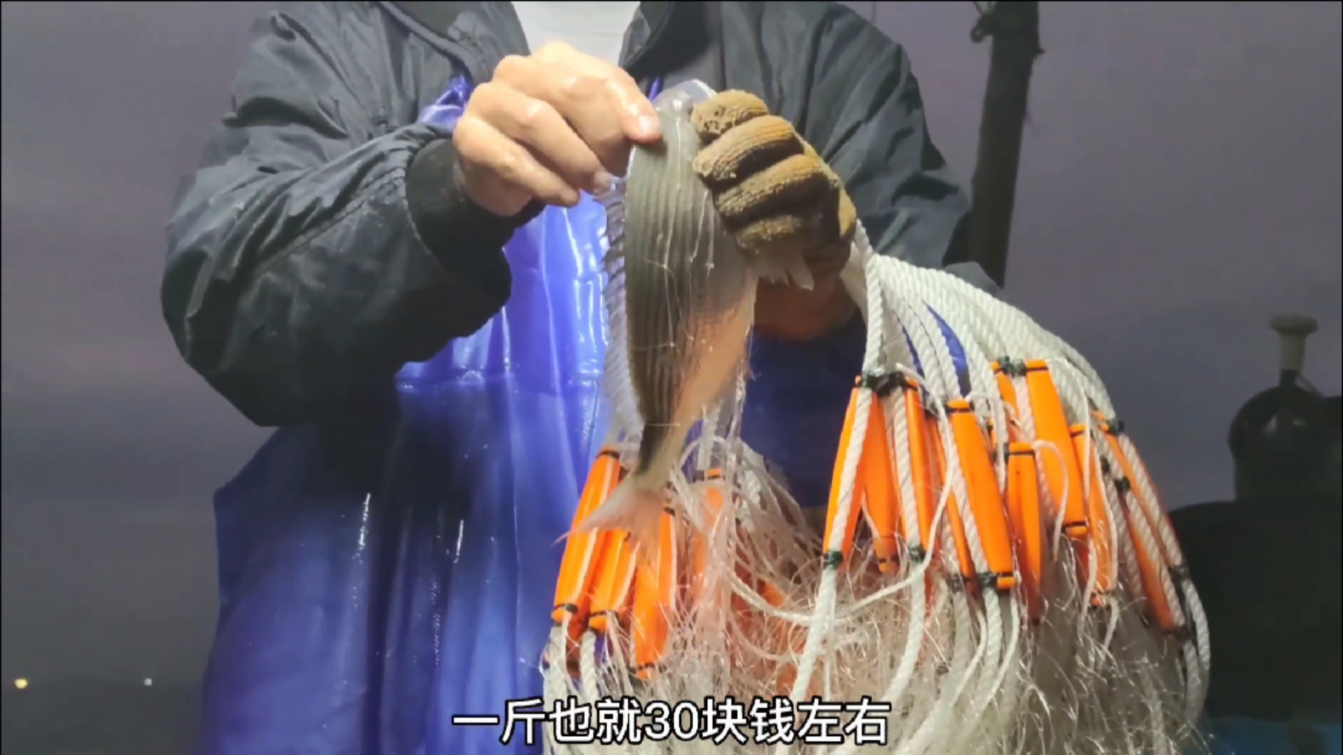 #乡村生活#彪哥捕到一条大鲨鱼,力气好大一个人拉不动,最后决定放生了(下)