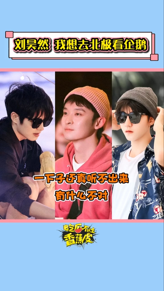 #刘昊然#刘昊然要去北极看企鹅，企鹅：我要从南走到北