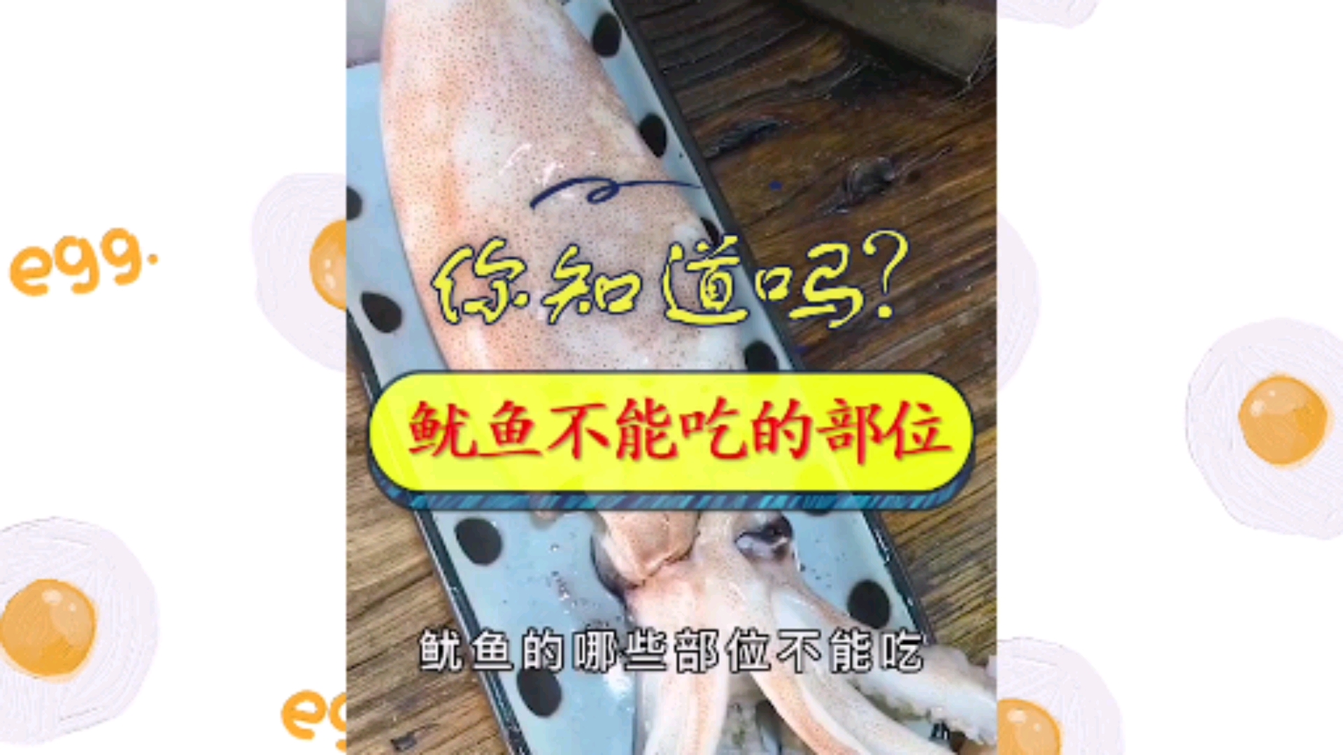 #每天一点冷知识#@鱼粤生鲜爱吃鱿鱼却不会处理?看完这个视频你就会了!