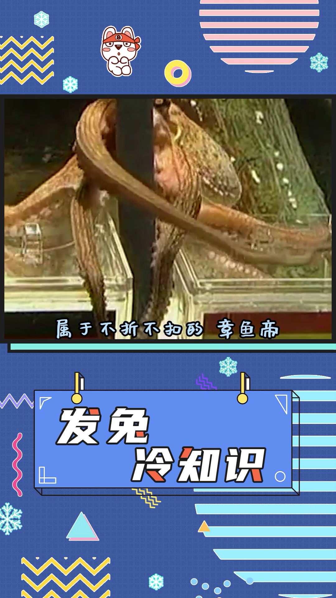 #全民涨知识#章鱼哥的身体构造根本不符合进化论的规律,难怪还可改写自己的基因!