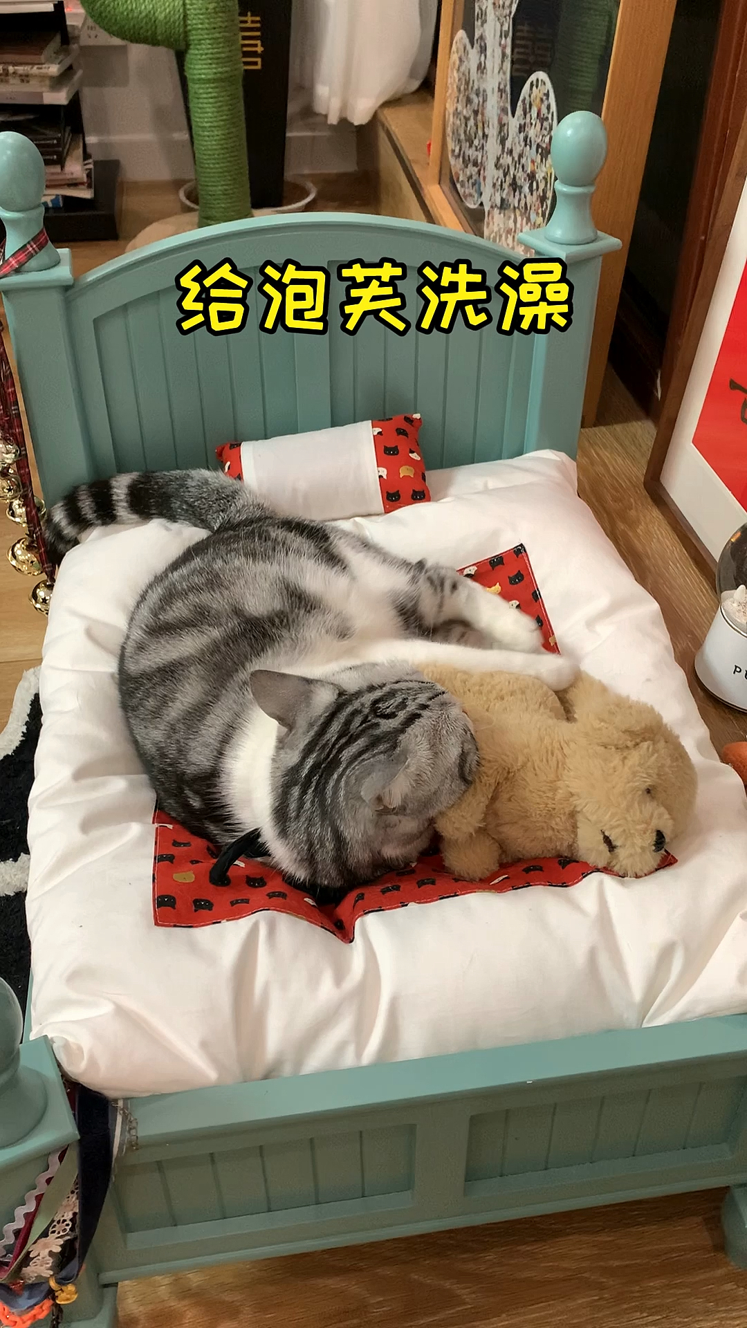 #小小爱宠萌化你#还记得芙芙上次洗澡是几月几号吗？