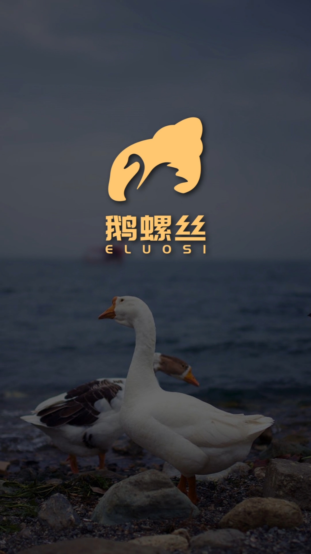 #logo设计#如何给俄罗斯人设计logo