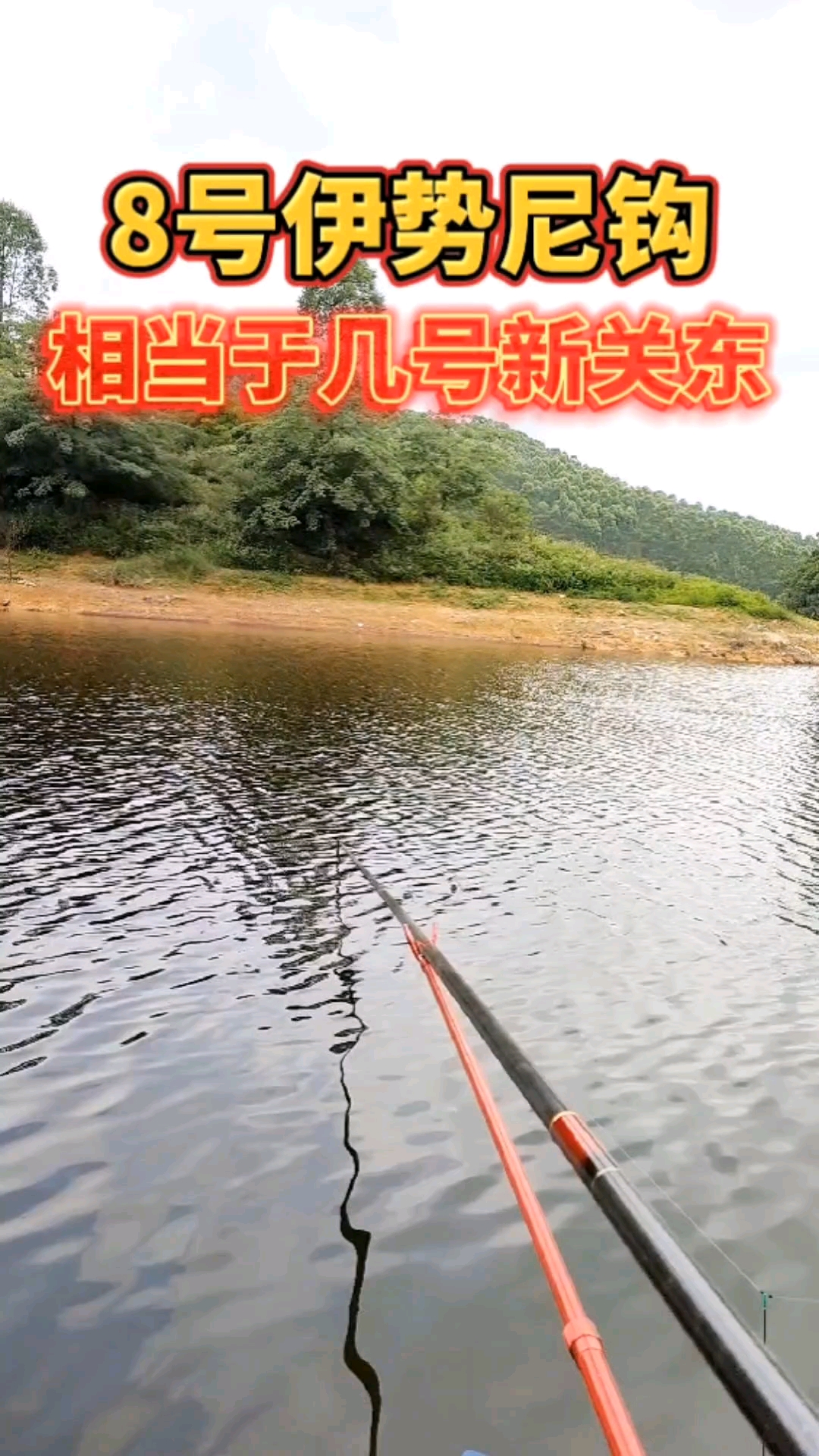 #钓鱼#又来普及钓鱼知识啦，8号伊势尼鱼钩相当于几号的新关东鱼钩，你知道吗？