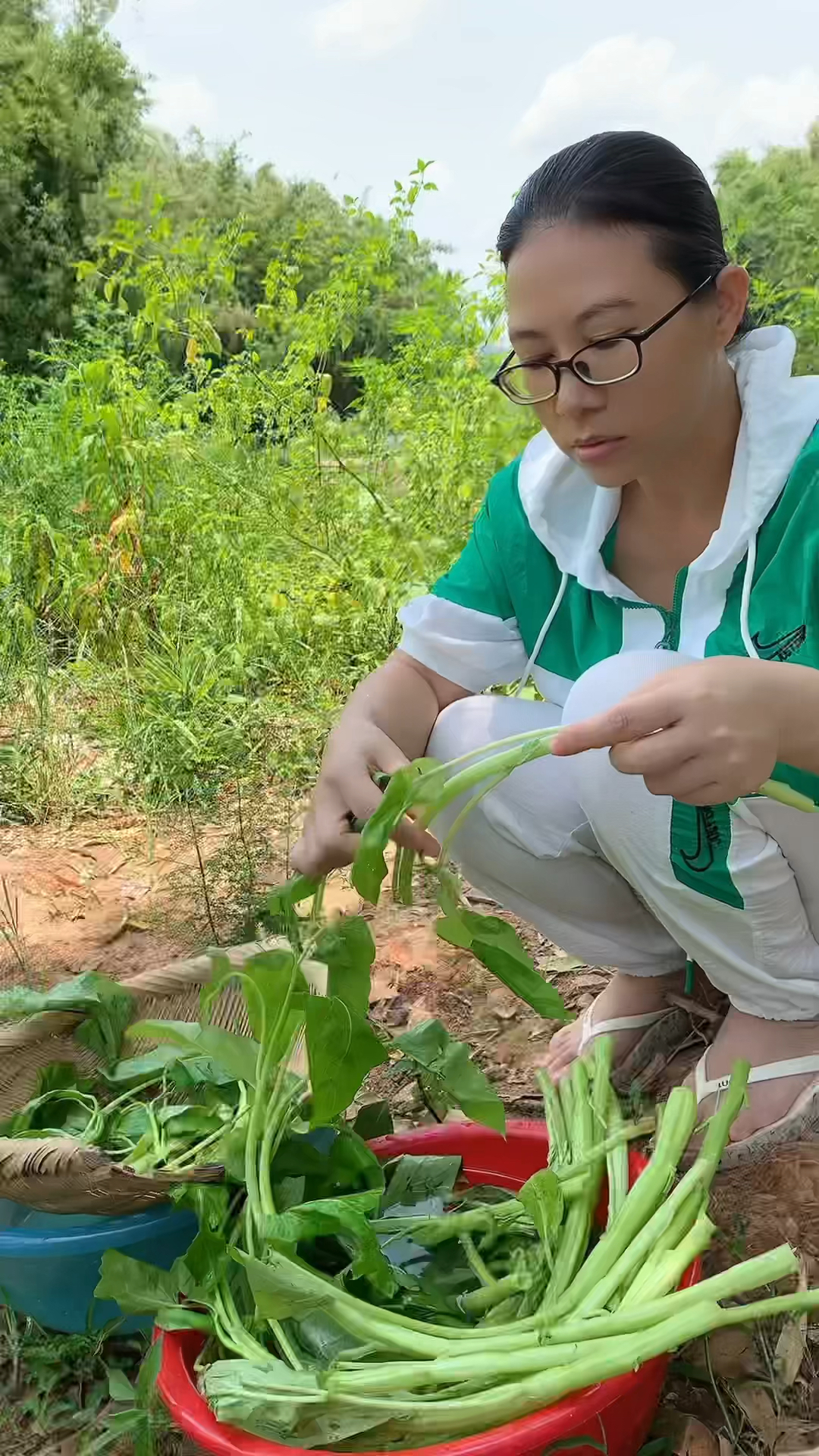 清炒空心菜