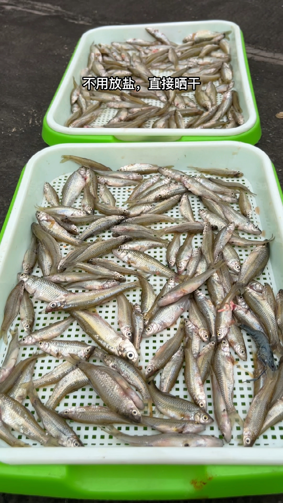 #美食看中国#这种小鱼你是怎么吃的