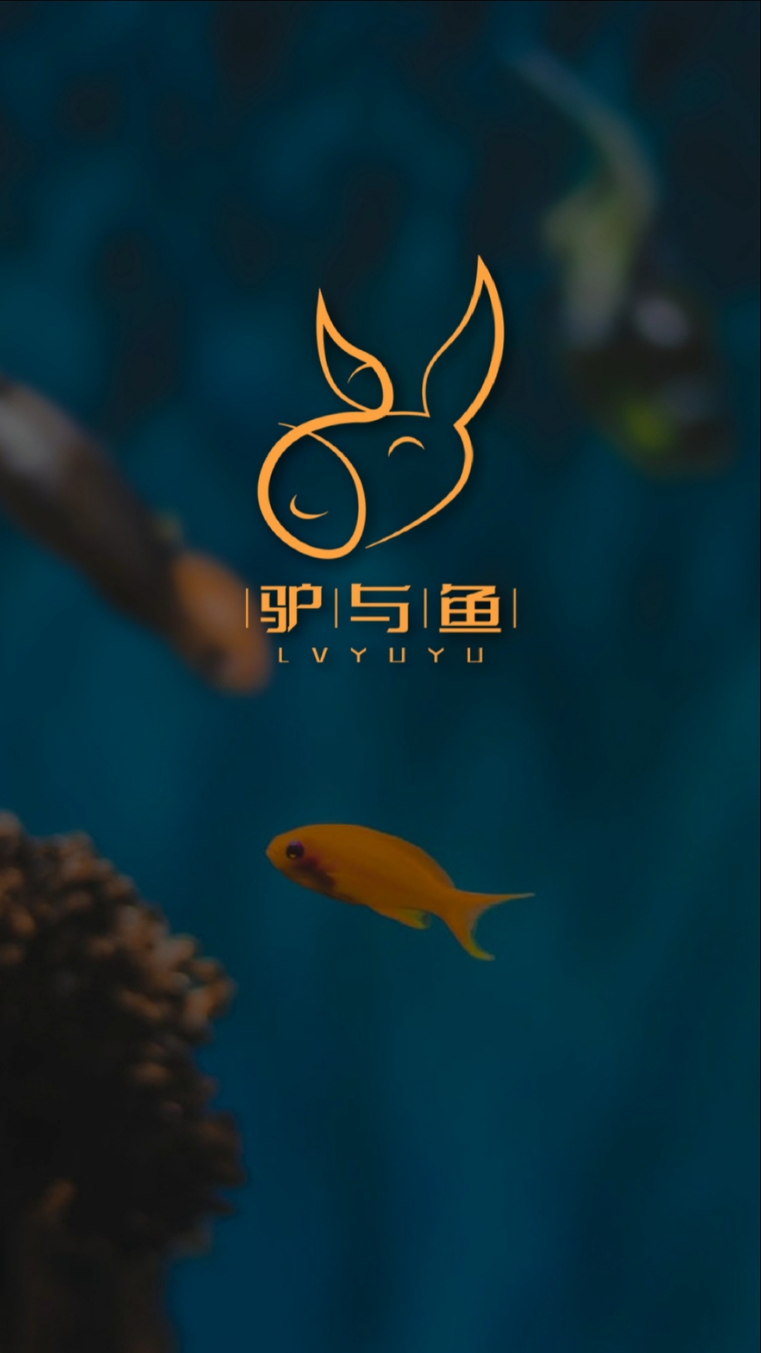 #logo设计#驴和鱼的融合来了，接下来还想看什么融合呢？