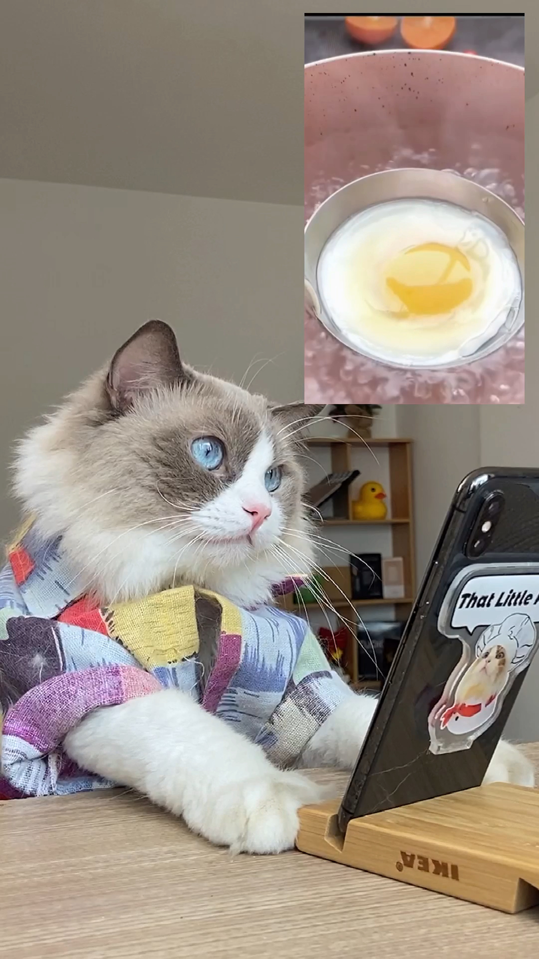 古有温水煮青蛙,今有我温水煮蛋