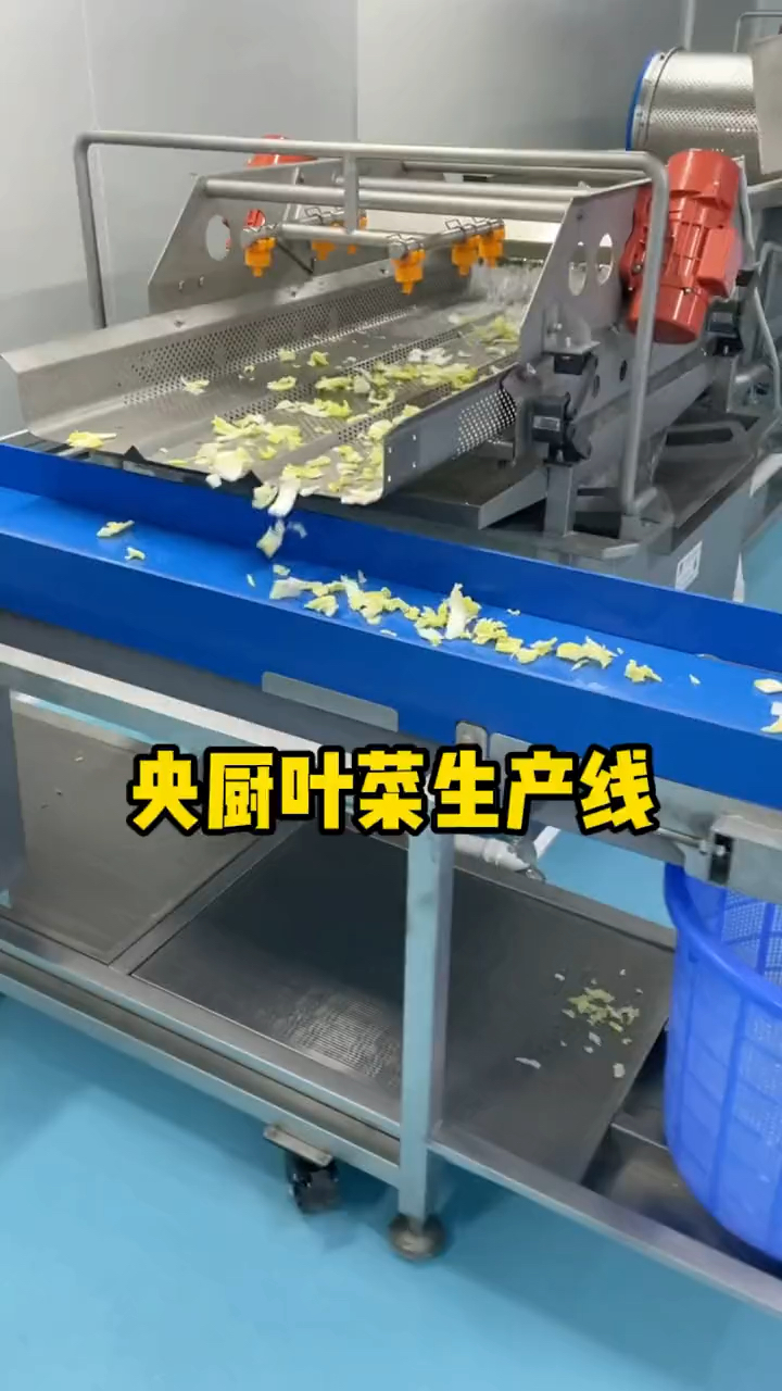叶菜生产线净菜加工设备中央厨房加工预制菜设备