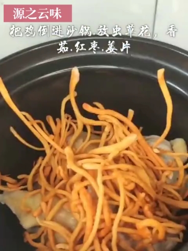 《虫草炖鸡》是一款家常菜,主要材料是冬虫夏草10克,母鸡1只(约1350克)。益