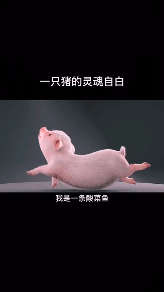 #洗脑神曲#这首歌是绝对的沙雕神曲，你们还喜欢吗？
