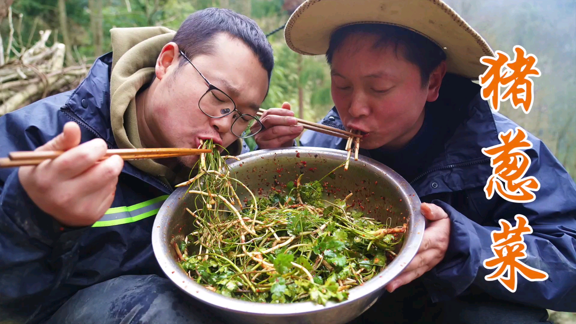 #美食#“猪葱菜”你吃过吗？3人野外寻菜5小时，只为尝一口这道神仙料理（上）