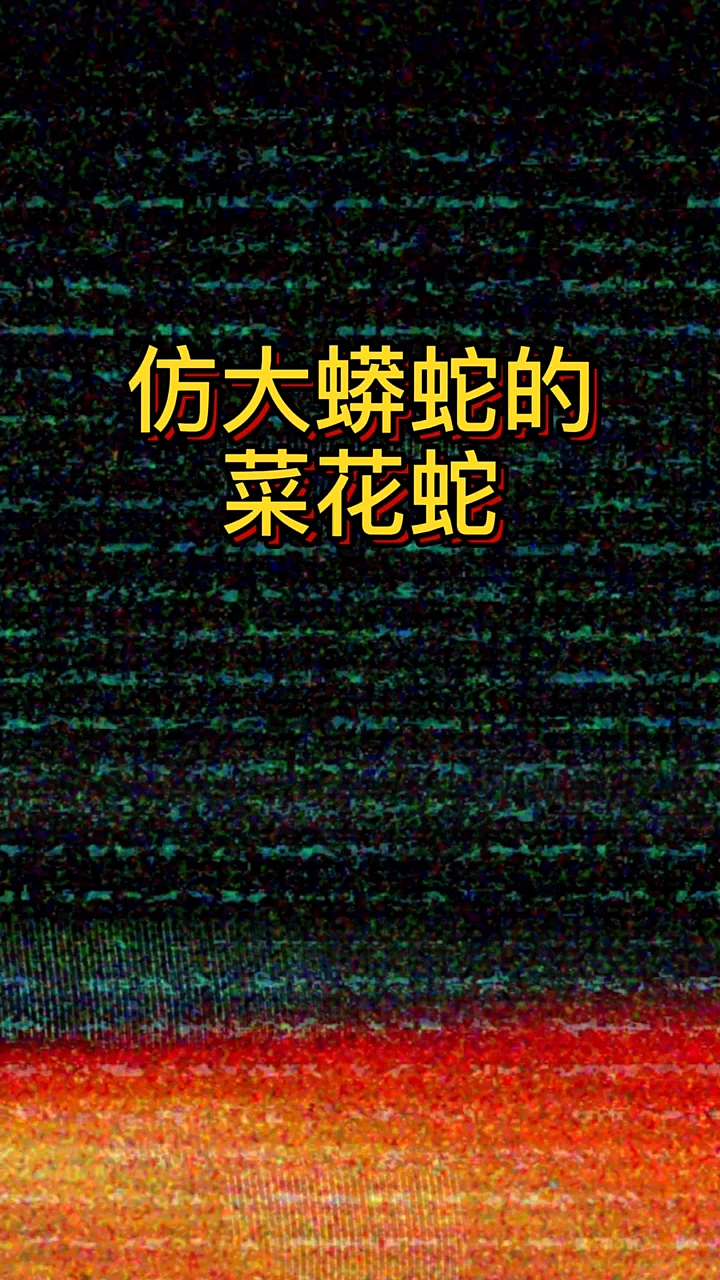 #摩托车#菜花蛇