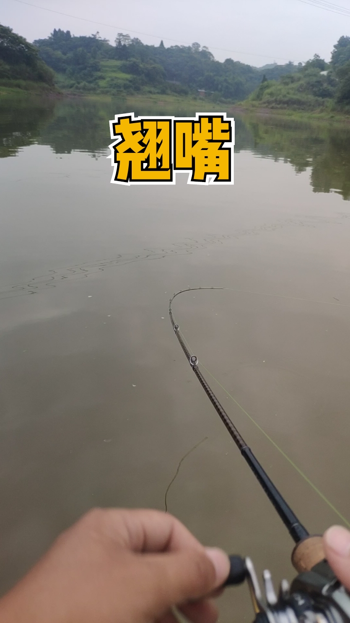 #路亚#完全没有咬口的感觉就上鱼了!