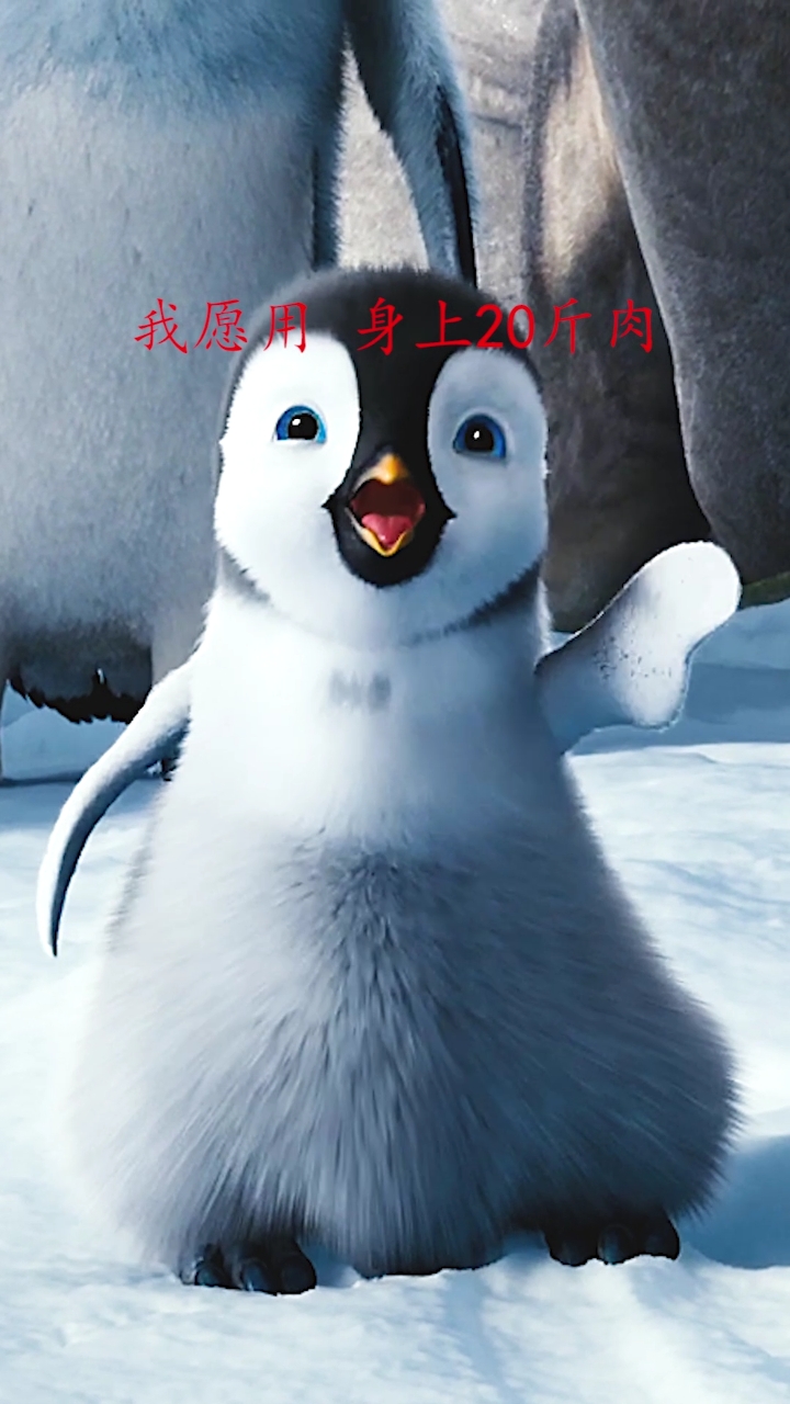 #我家萌宠成精了#你们愿意吗？？？