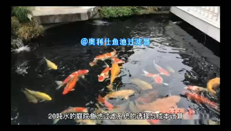 20吨水的庭院鱼池过滤系统的选择与成本计算