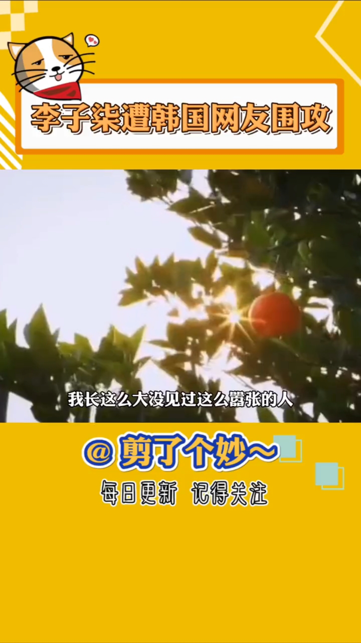 #李子柒#李子柒做泡菜遭韩国网友围攻笑S人了，这些韩国网友都是哪来的自信