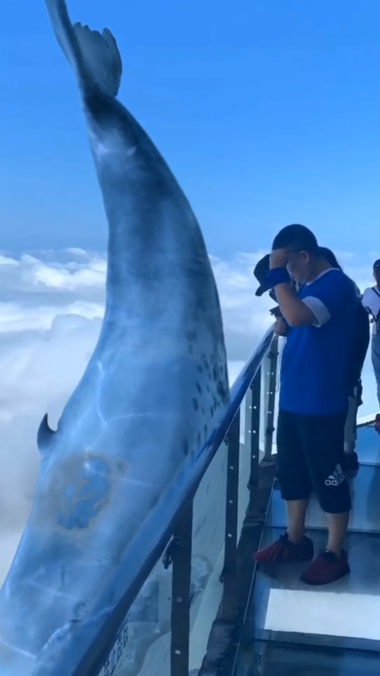 张家界景区拍到飞天鲸鱼