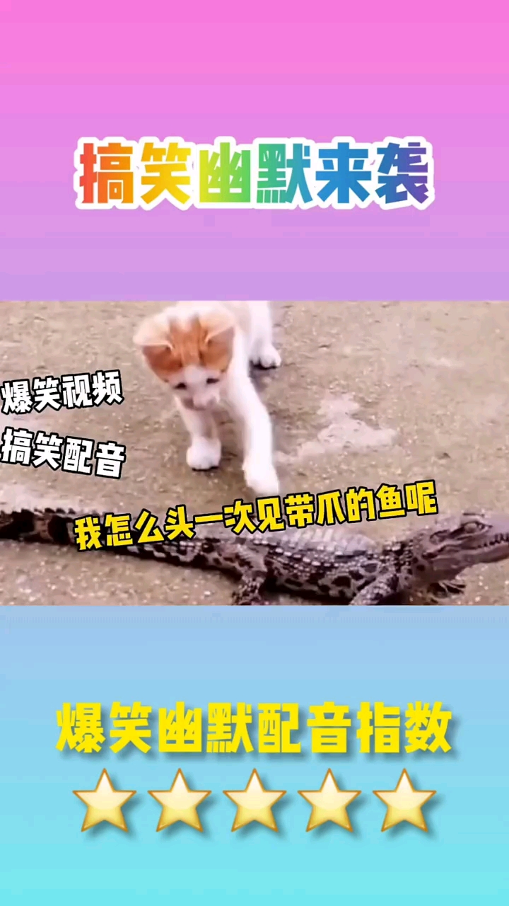 搞笑幽默来袭。爆笑视频搞笑配音我怎么头一吹见带爪的鱼呢。爆芙幽默配音指数