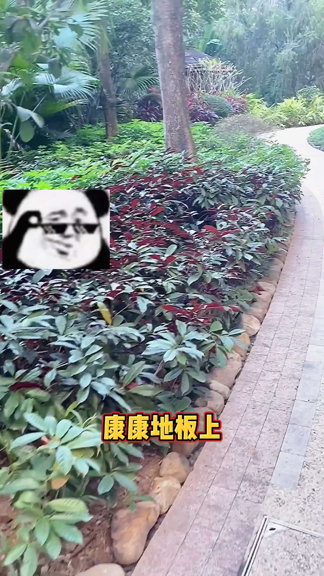 #手帐拼贴#手帐小膀子萌笔芯哟