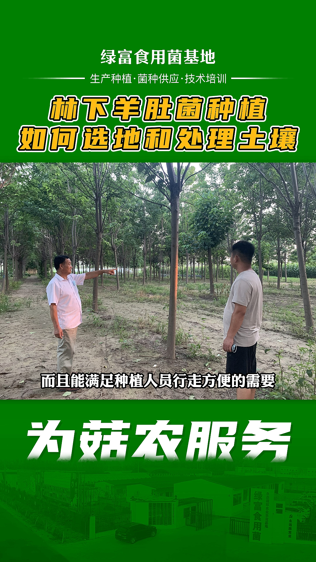 #羊肚菌种植#羊肚菌种植选地,羊肚菌适合什么土地种植,羊肚菌种植土壤处理,羊肚菌种植土壤要