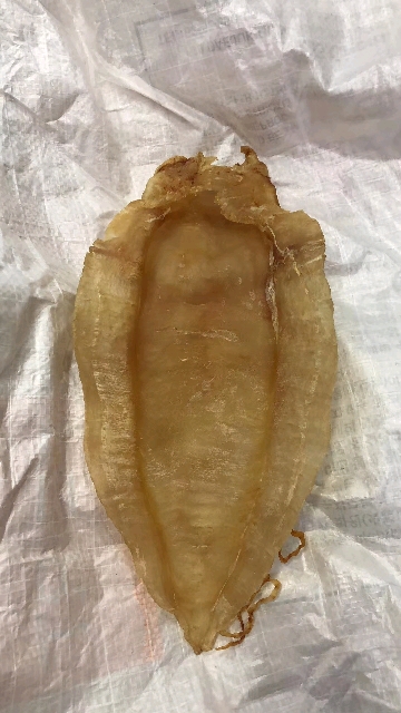 金钱鳘鱼胶是为鱼胶之王,收藏货非常罕见,一般都被当做收藏品收藏起来,斤价十几万
