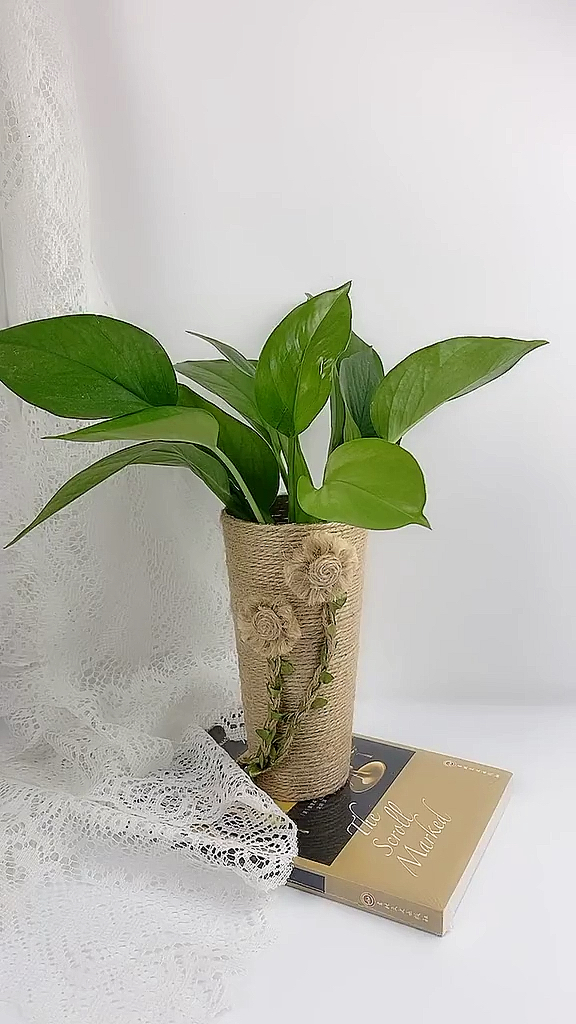 #废物利用#看完这个视频该去捡奶茶杯了