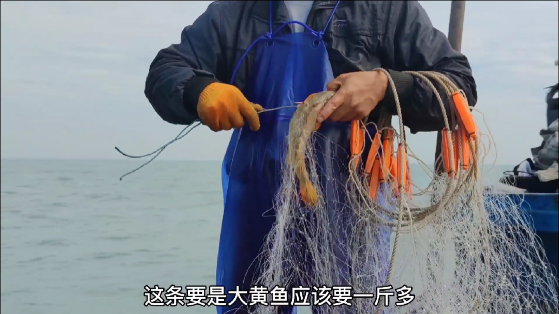 #赶海户外#彪哥终于捕到大黄鱼了,还一下子上了8条黄花鱼,总算发财一次了(二)
