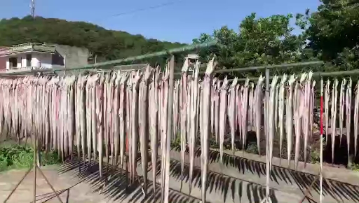 曼鱼干