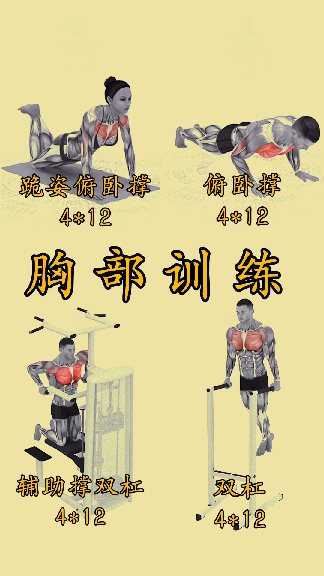#健身#胸部训练教程分享给热爱健身运动的小伙伴