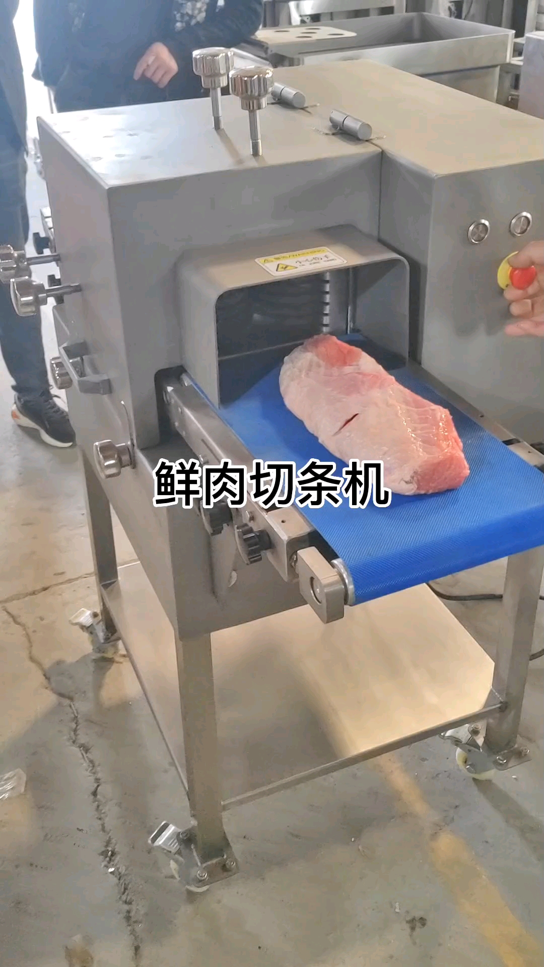 牛肉切条机羊肉切条机鸡胸肉切条机#鲜肉切条机#肉串加工设备#穿串机