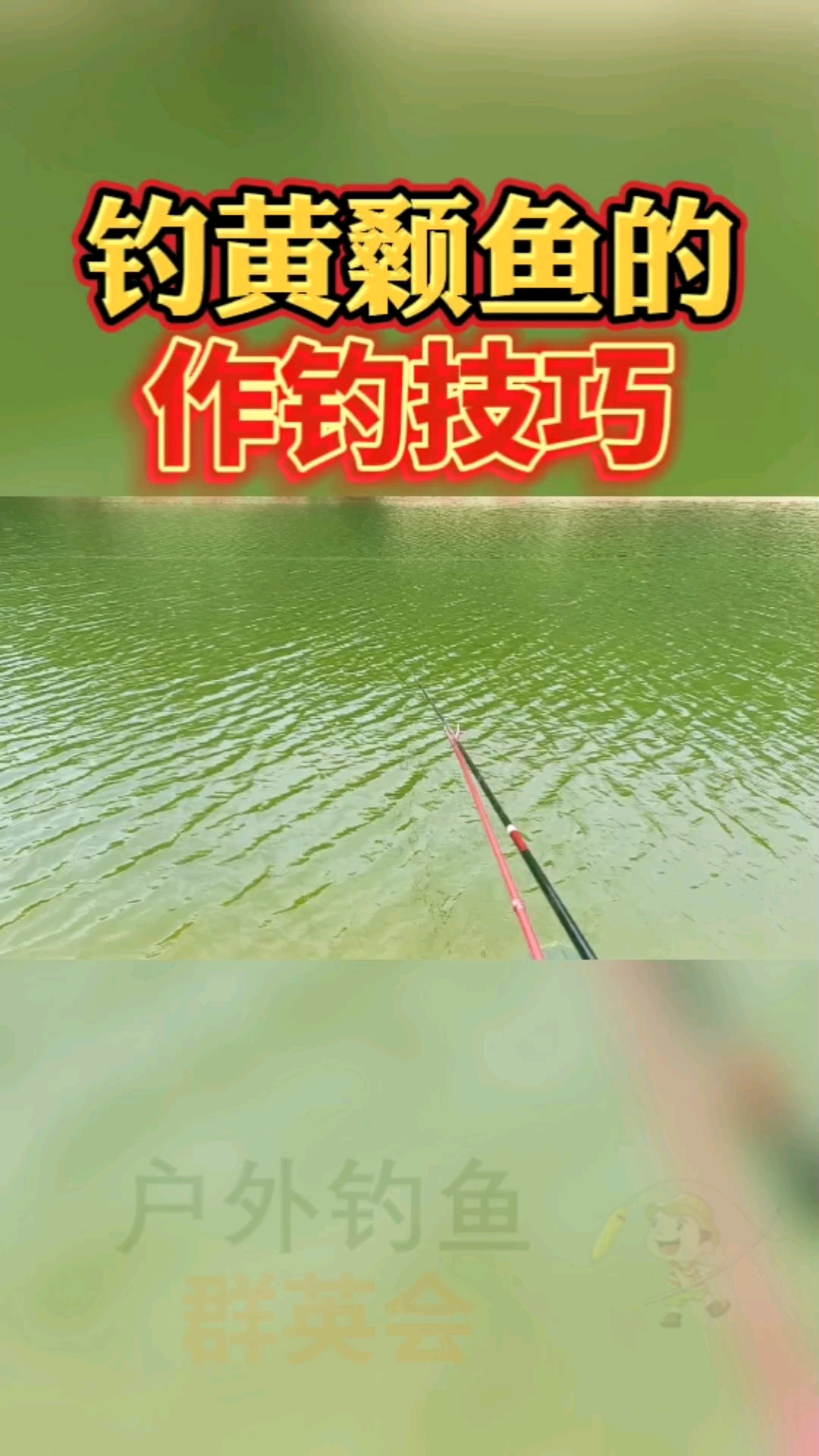 #钓鱼#钓黄颡鱼,黄骨鱼的作钓技巧