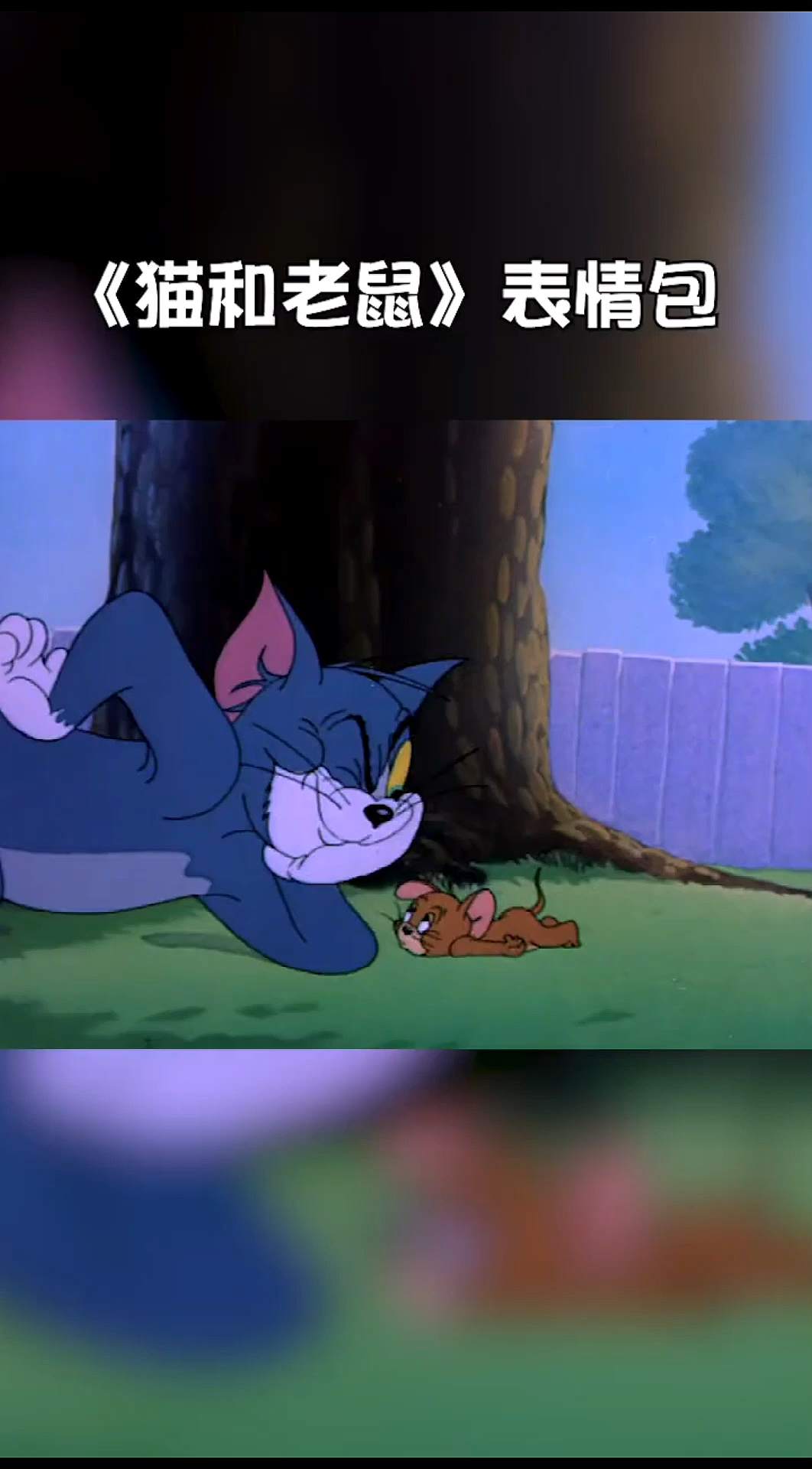 #表情包#他来了,他来了,汤姆带着表情包走来了!