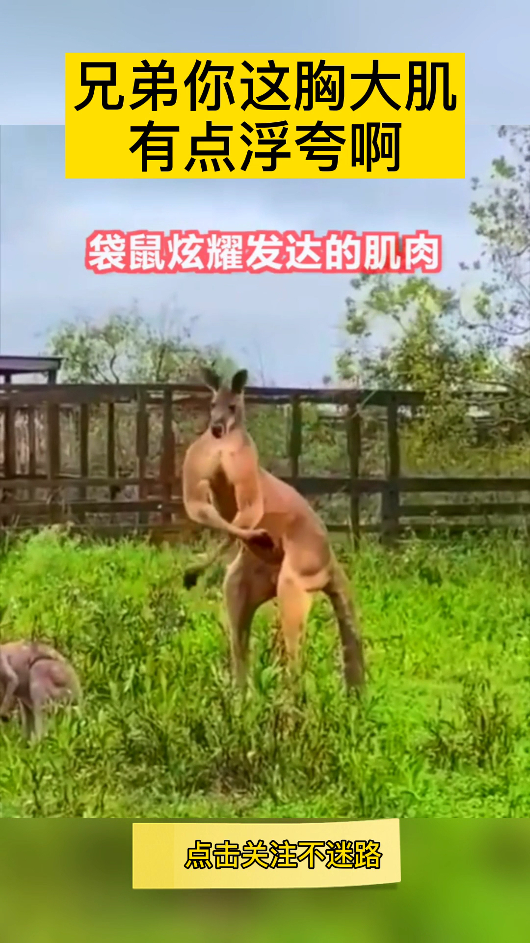 #我是小丑逗你笑#我可能打不过它
