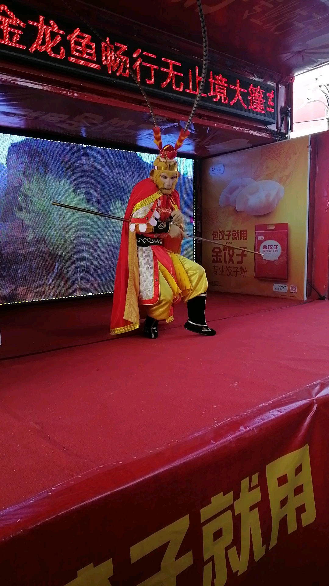 #月兔出逃#老孙来也