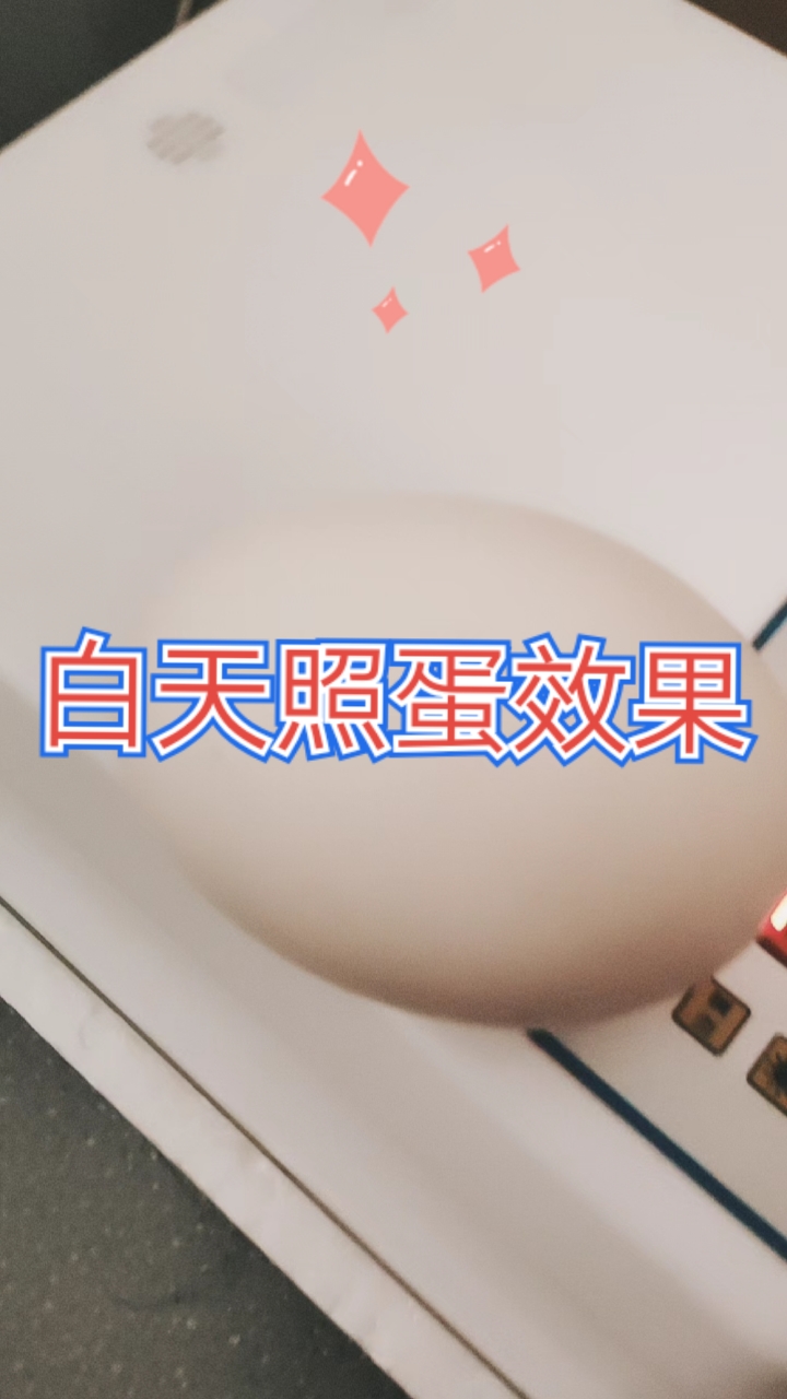 #我家萌宠成精了#白天照蛋效果,用手挡着才看到血管,鹅蛋孵化第七天,血管越来越粗壮了