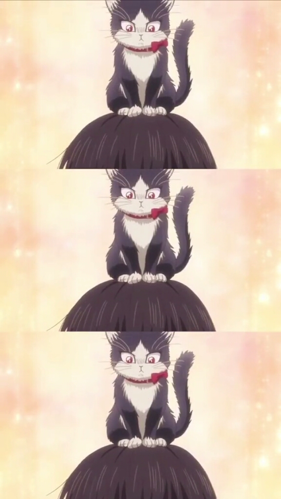 #动漫#馋屎官的高冷小猫咪