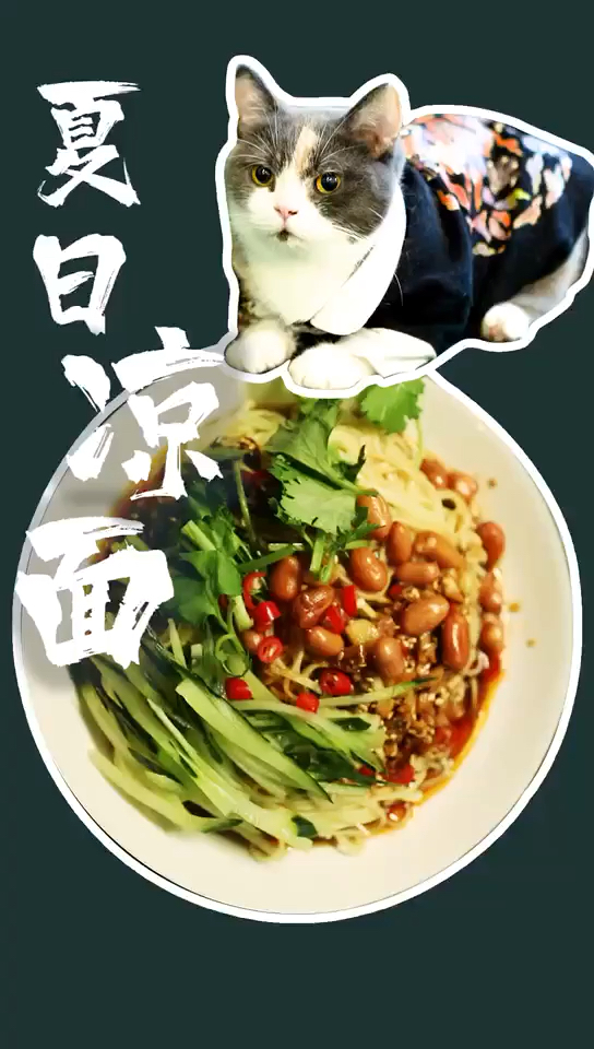#凉拌凉面#夏日凉面怎么做才好吃?让我和喵星人来告诉你