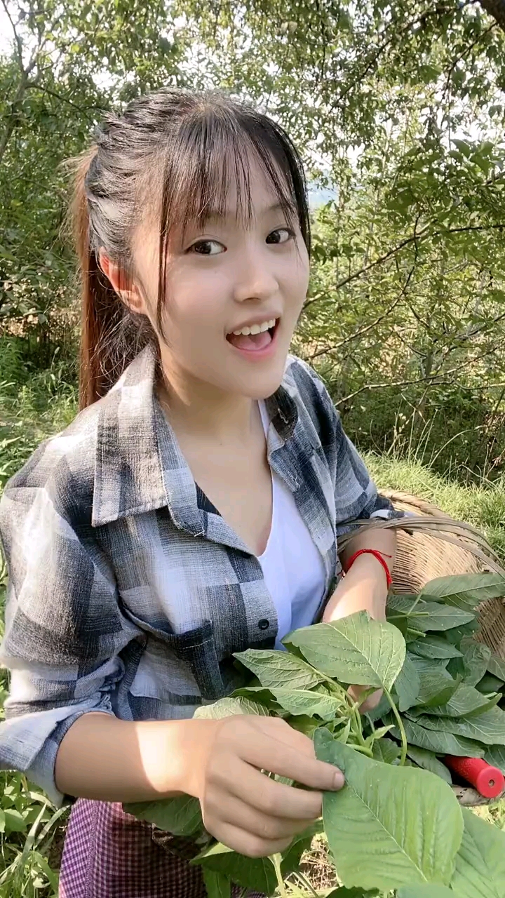 银银菜。