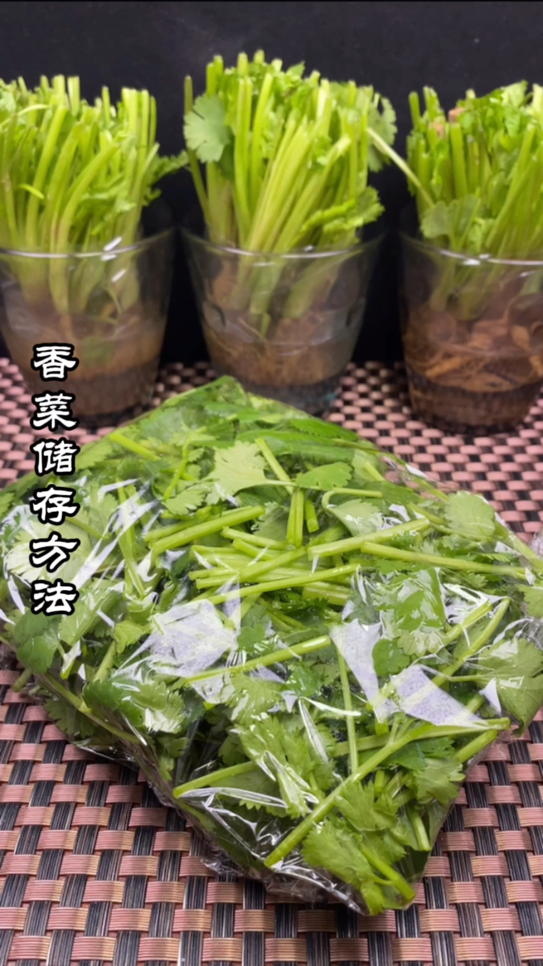 #在家做个拿手菜#香菜这样储存,一冬天都不用买了。天天吃新鲜的香菜,冬日里的家乡美食!