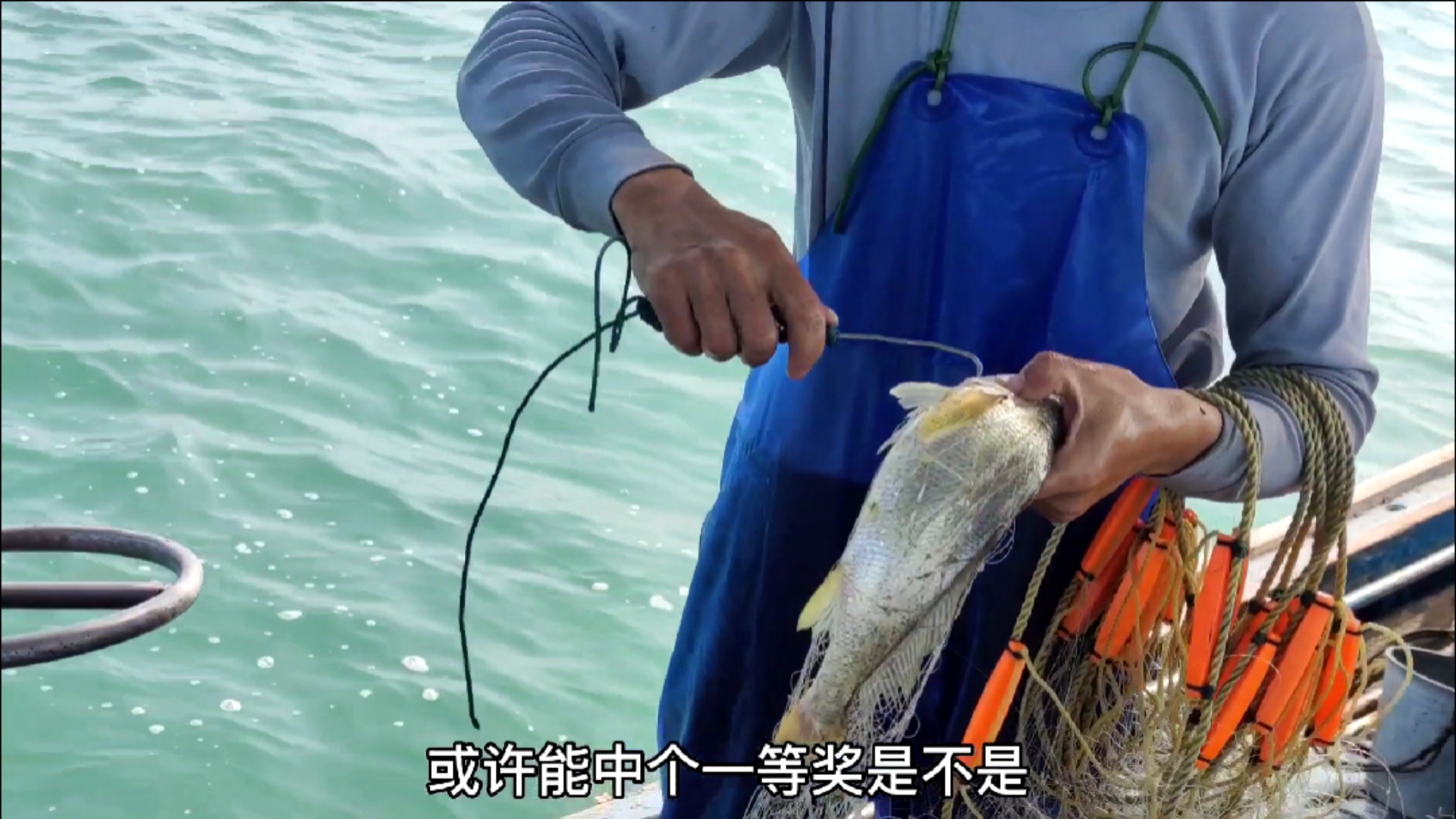 #赶海户外#广东渔民捕到三十多条黄金鱼，出海一天狂赚2万3，鱼商卖浙江至少要翻一倍（二）